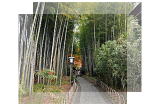ɓ̊όX|bg/|т̏a