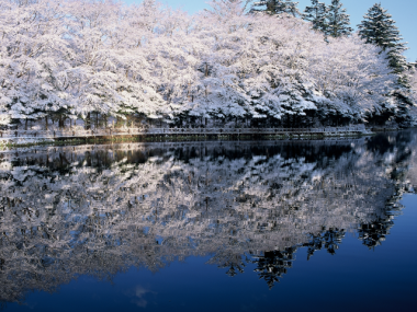 雲場池の雪景色