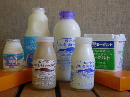 軽井沢物産館の乳製品