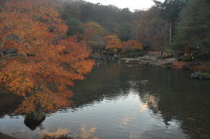 紅葉1
