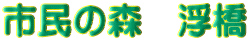 s̐X@
